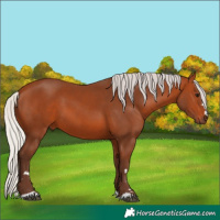 Horse Color:Silver Bay 