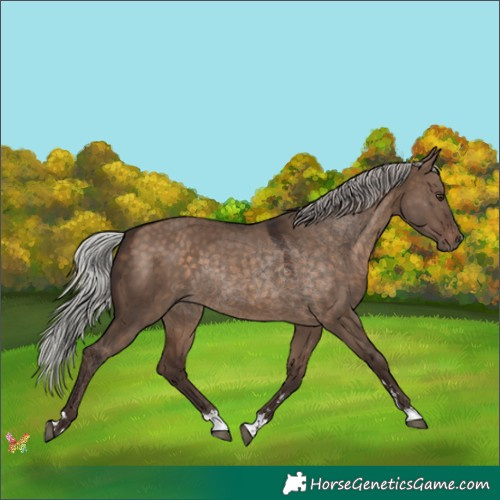 Horse Color:Silver Brown Dun 