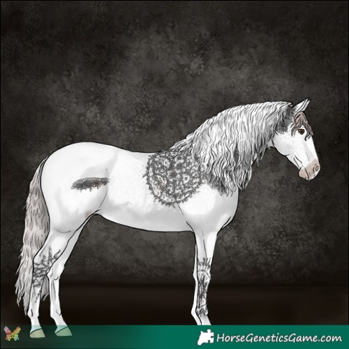 Horse Color:Platinum Liver Chestnut Splash Tobiano