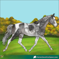 Horse Color:Platinum Liver Chestnut Splash Tobiano 