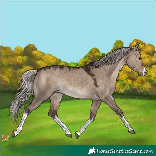 Horse Color:White Spotted Silver Brown Dun 