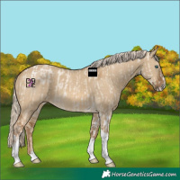 Horse Color:Chocolate Palomino Pearl Dun Tobiano Frame  and Chocolate Palomino Dun Tobiano Frame 