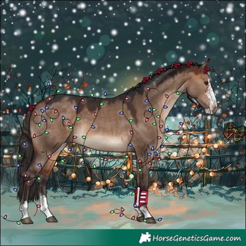 Horse Color:Bay Dun Sabino