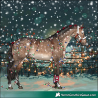 Horse Color:Bay Dun Sabino 