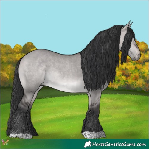 Horse Color:Platinum Brown Dun 