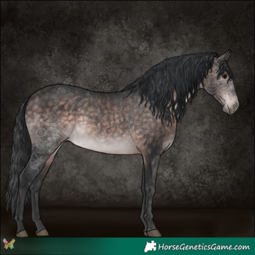 Horse Color:Platinum Bay