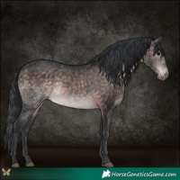 Horse Color:Platinum Bay