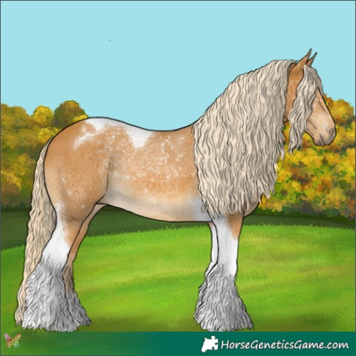 Horse Color:Palomino Tobiano