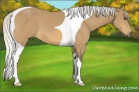 Horse Color:Silver Buckskin Tobiano 