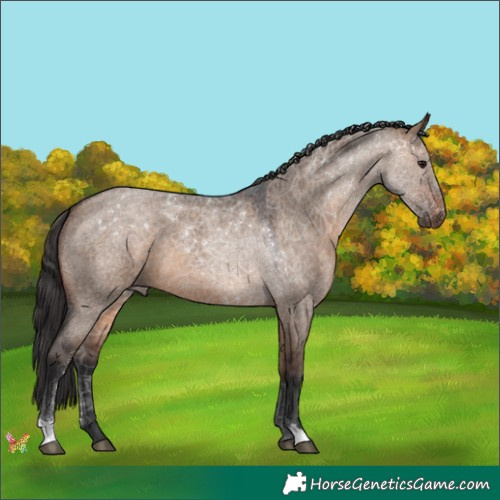 Horse Color:Brown Roan Dun 
