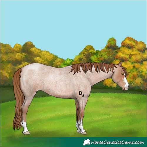 Horse Color:Brown Roan Pearl 