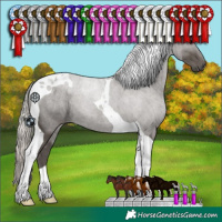 Horse Color:Silver Black Tobiano 