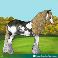 Horse Color:Watercolor Midnight Gold Champagne Ice Splash 