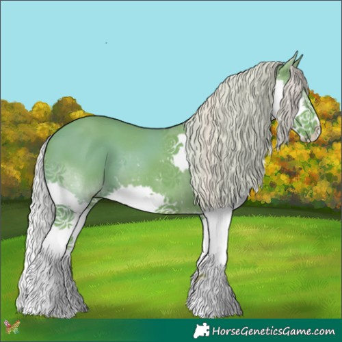 Horse Color:Watercolor Silver Black Splash 