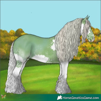 Horse Color:Watercolor Silver Black Splash 