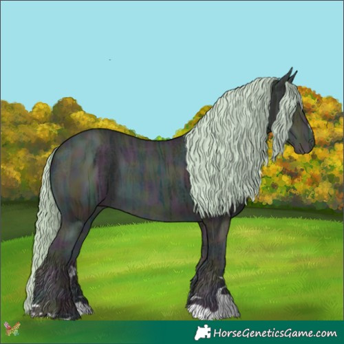 Horse Color:Watercolor Midnight Gold Cream Champagne Ice 