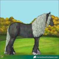 Horse Color:Watercolor Midnight Gold Cream Champagne Ice 