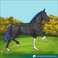 Horse Color:Watercolor Midnight Sable Champagne Ice Tobiano 