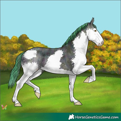 Horse Color:Watercolor Midnight Sable Champagne Ice Splash Tobiano 