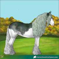 Horse Color:Watercolor Midnight Silver Brown Ice Splash 