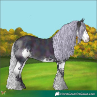 Horse Color:Watercolor Midnight Silver Sable Champagne Ice Splash 