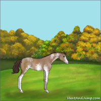 Horse Color:White Spotted Classic Champagne Sabino Rabicano