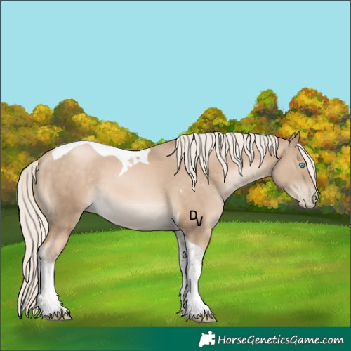 Horse Color:Chocolate Palomino Pearl Tobiano