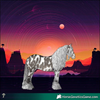 Horse Color:Smoky Grullo Mushroom Appaloosa Rabicano 