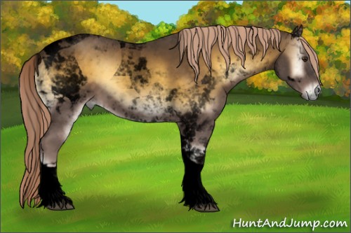 Horse Color:Void Chocolate Palomino Onyx Tobiano 