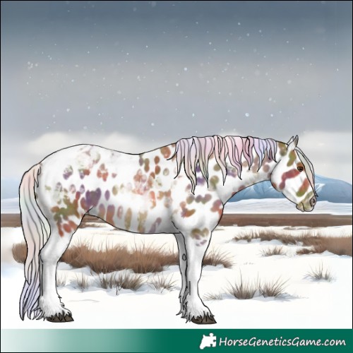 Horse Color:Nacre Chocolate Palomino Tobiano Appaloosa 
