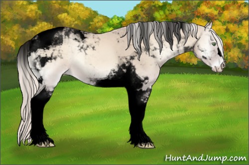 Horse Color:Void Cremello Onyx Tobiano 