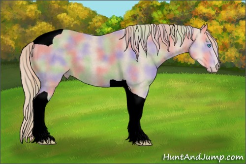 Horse Color:Void Nacre Perlino Roan Tobiano 