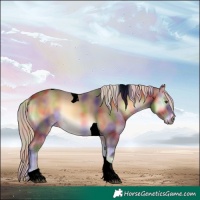 Horse Color:Void Nacre Chocolate Palomino Onyx Tobiano