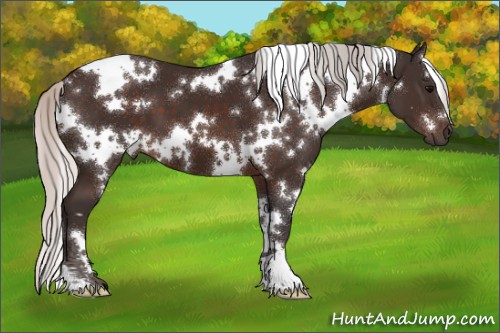 Horse Color:White Spotted Silver Brown 