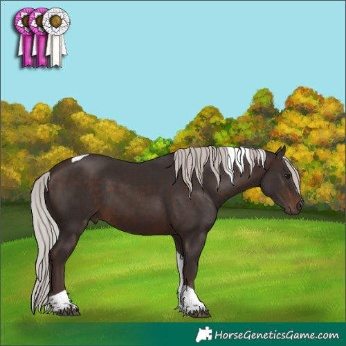 Horse Color:Silver Brown Tobiano 