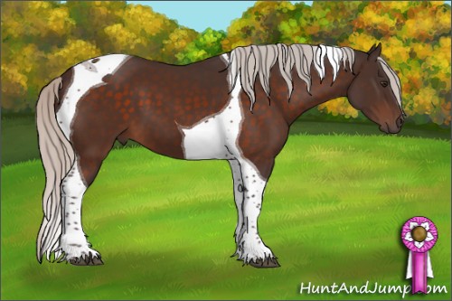 Horse Color:Silver Brown Tobiano 