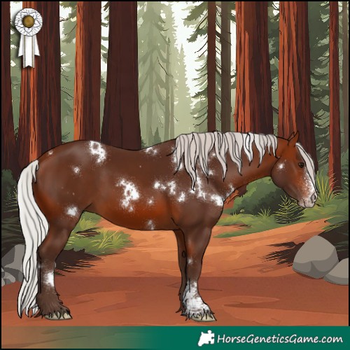 Horse Color:White Spotted Silver Brown Sabino 