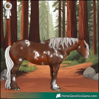 Horse Color:White Spotted Silver Brown Sabino 