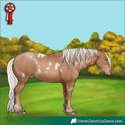 Horse Color:White Spotted Silver Brown Pearl Sabino 