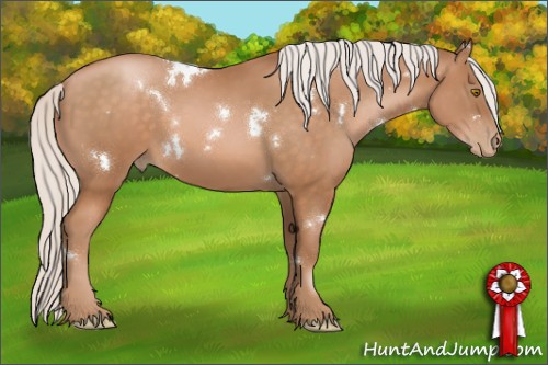 Horse Color:White Spotted Silver Brown Pearl Sabino 