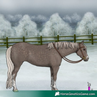 Horse Color:Silver Black Sabino Tobiano 