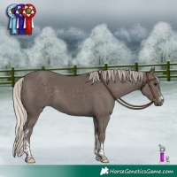 Horse Color:Silver Black Sabino Tobiano