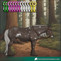 Horse Color:White Spotted Silver Black Rabicano 