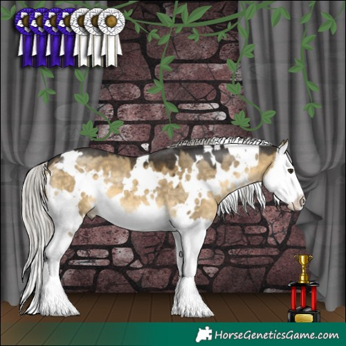 Horse Color:White Spotted Silver Buckskin Dun Splash 