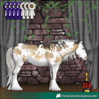 Horse Color:White Spotted Silver Buckskin Dun Splash 