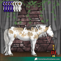 Horse Color:White Spotted Silver Buckskin Dun Splash 
