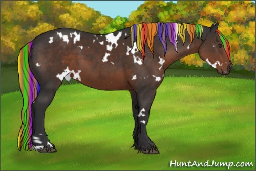 Horse Color:Painted White Spotted Liver Chestnut 
