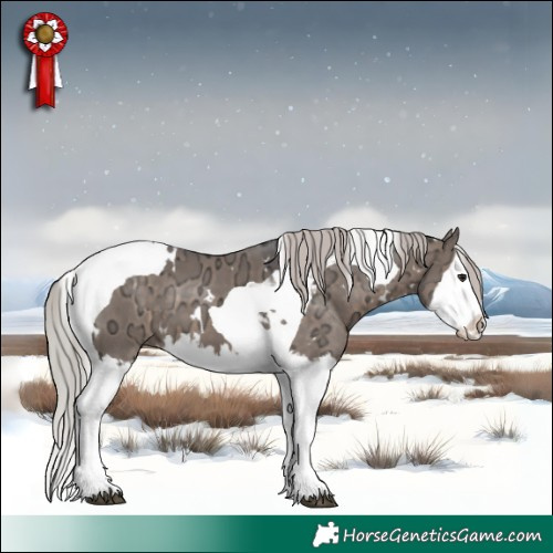 Horse Color:White Spotted Silver Brown Ice Dun Splash Tobiano 