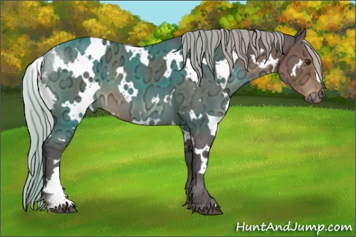 Horse Color:White Spotted Silver Buckskin Ice 