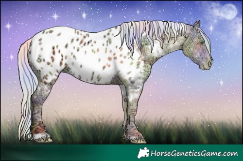 Horse Color:Nacre White Spotted Silver Amber Champagne Ice Dun Near Leopard 